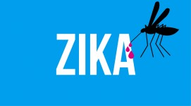 1zika