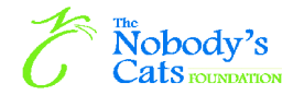 Nobody Cats Foundation Logo